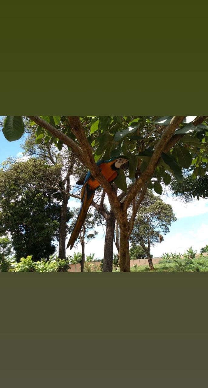Pousada Cafe Da Roca Campos Gerais Exterior foto